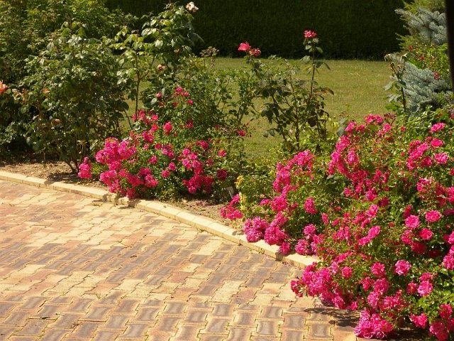 VUE EXTERIEURE (2).JPG